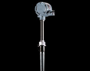 ESW100S-2002 耐磨热电偶(阻)