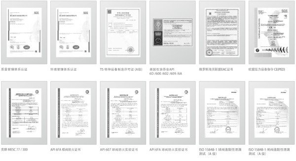 工業閥門制造商-浙江歐菲石油設備有限公司邀您共聚cippe2024(圖2)